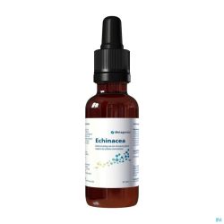 Echinacea Gutt 30ml 31 Metagenics