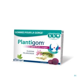 Plantigom Gommes 24