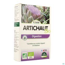 Artichaut Bio Amp 20x10ml Biotechnie