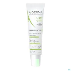 Aderma Dermalibour+ Cicabaume Levres 15ml