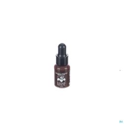 Lisandra cosmenail vao  21 brun    5ml