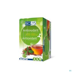 Biolys Rooibos The Vert Sach 24