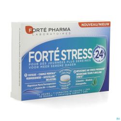 Forte stress 24h    comp 15