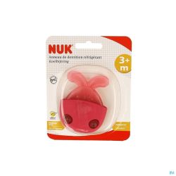 Nuk anneauntition refrigerant lapin